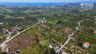 Seferihisar Hıdırlık Mahallesinde Bakımlı 6.200m² Satılık Bahçe