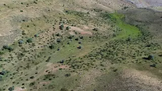 Bayburt Merkez Akşar Köyünde Satılık Tarla