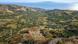 Nuhoğlu 'ndan Satılık Kirazlı Da Deniz Manzaralı 1483 M2 Bağ