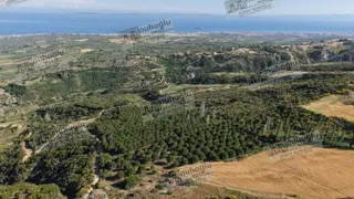 Nuhoğlu 'ndan Satılık Deniz Manzaralı Köye Yakın Fıstık Çamlığı