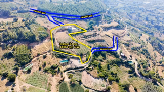 Erdemli Çamlı 10300 M2 Satılık Kivi Bahçesi Ve Soğuk Hava Deposu