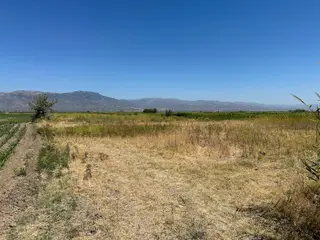 Yenipazar-çulhan Mahallesinde Acil Satılık 7532 M2 Verimli Tarla