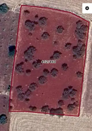 Pazarcık-antep Eski Yolu Üzeri 6 Dönüm Yetişkin Fıstıklık - 1