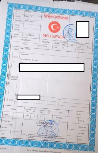 Güzelköy’de Satılık Zeytinlik