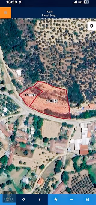 Emre Ünlü'den Trilye'de Yol Cepheli 918 M2 Satılık Zeytinlik