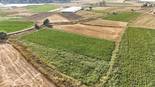Seydikemer Doğanlarda Yol Cepheli Müstakil 3525 M2 Tarla
