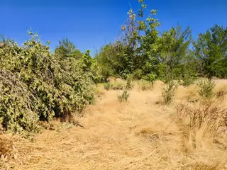 Hakev'den Satılık Şehrin Merkezinde 545 M2 Arazi