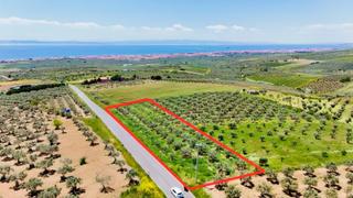 Şarköy İğdebağlarında Asfalt Yola Cepheli, Deniz Manzaralı