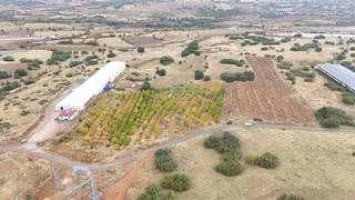 Elazığ Merkez'e Bağlı Pulutlu Köyünde Satılık Kayısı Bahçesi