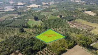 Ulucan'dan İnegöl Çeltikçide Satılık Mükemmel Tarla