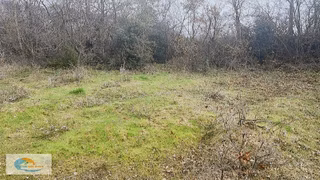 Gürsu Dışkaya'da Satılık 3238 M² Arazi - Yatırım Fırsatı