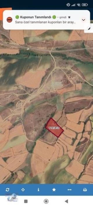 Tekirdağ Malkara Ballı Da Tek Tapu 9700 M2 Tarla