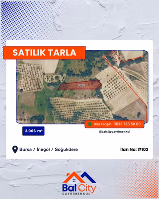 Balcity - İnegöl’e Komşu Oto Yola Ve Oylat Kaplıcalarına Yakın, Hobi Tarlası
