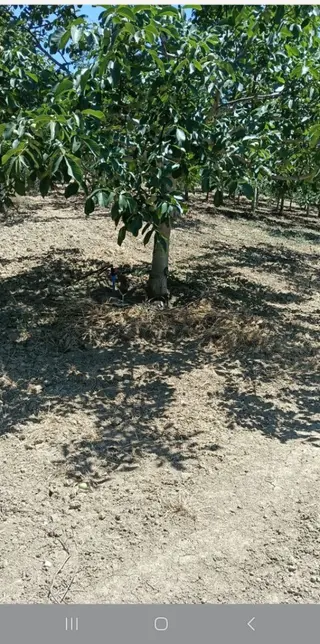 Konurlar Köyünde Satılık Yatırımlık Tarla