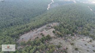 Doğanhisar Atatürk Mahallesinde 6.663 M² Müstakil Tapulu Tarla