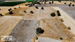 Çanakkale Han Emlak Otomotivden Tevfikiye Köyünde 17250 M2 Tarla