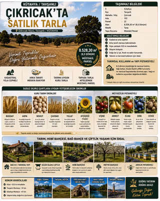 Sahibinden + Kütahya + Tavşanlı ++ 8.528 M² Kadastral Yollu - Meraya Sıfır