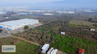 Turyap Bornova'dan Kızılüzüm'de Satılık 52.722 M2 Bağ