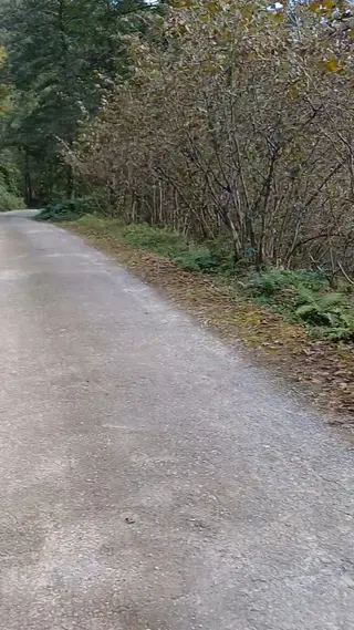 Giresun Görele'de Müstakil Tapulu Ana Yola Cephe 590 M2 Parsel. - 1