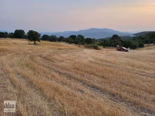 Kütahya Hisarcık Dümdüz Ekilir Yatırımlık Kelepir Satılık Arazi