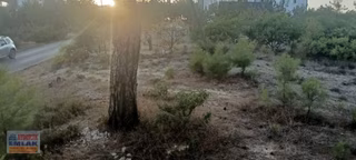 Aydıncık Emlaktan Satılık Tarla 496m2