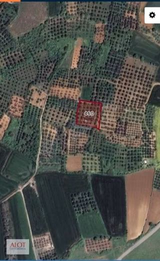 Kuş Gölüne Yakın Yatırımlık Fırsat 2710 Hobi Bahçelik Tarla