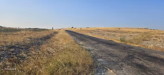 Kayalı'da Caddeye Cepheli 6.035 M2 Satılık Arazi