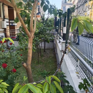 Gizli Bahçe Satilik