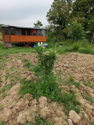 Bke Bursa Kılıç Tan Fethiye De Satılık 458 M2 Bahçe + Prefabrik 1+1 Ev