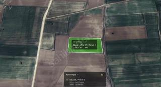 Sahibinden Acil! Edirne Enez Çavuşköy'de 12.344m² Uygun Fiyatlı Tarla