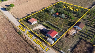 Amasya Merkez Yavru Köyü Satılık 2 Evi Olan Bağ/ Bahçe 5700 Mk.