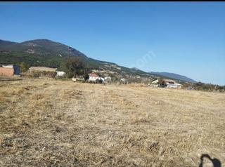 Bucak Ürkütlü 'de Yatırıma Uygun 1.423 M² Satılık Tarla