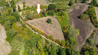 Uzmanlar'dan Yalakdere Satılık 5519 M2 Satılık Tarla - 1