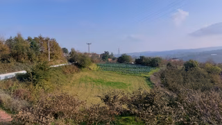 Yol Kenarı Müstakil Tapu - 1