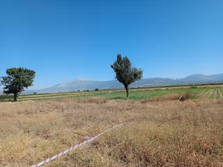 Acıpayam Yassıhöyükte Bölgenin En Uygun Fiyatlı Sulu Arazisi