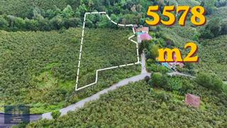 Vyg'den Ortahisar Kamışılıda Satılık 5578 M2 Arazi