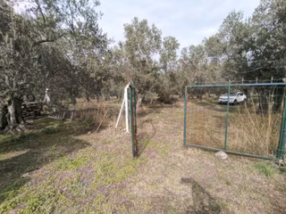 Havran Mescit Merkeze Çok Yakın 1092 M2