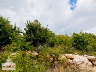 Toroslar Arslanköyde Uygun Fiyatlı 1688 M2 Satılık Şeftali Bahçe
