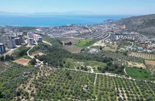 Kuşadasında Merkeze Yakın 29.544 M2 Satılık Zeytinlik