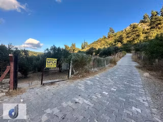 Darkale Köyünde Satılık Zeytinlik