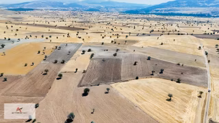 Asfalt Yola Yakın Konumda Yatırımlık 3.547 M² Müstakil Tarla