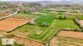Doğanhisar Zafer Mahallesinde 500 M² Müstakil Tapulu Tarla