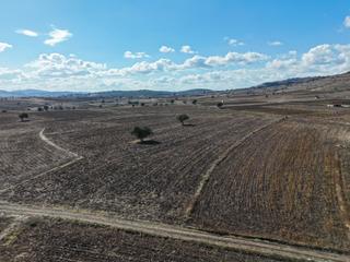 Balıkesir Karesi Yağcılar 19.000 M² Yola Cepheli Satılık Tarla