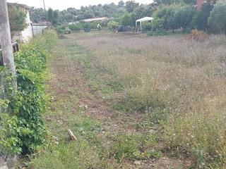 Fethiye Kargı Mah.de Kadastrol Yola Sıfır Satılık 1320m2 Arazi