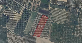 Vakıf'ta 3.661 M² Müstakil Tek Tapu Bahçe | Yerleşime 200 Metre