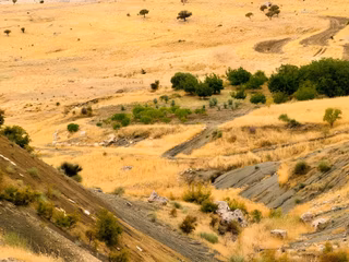 İmar Yakınında Satılık 4.500 M2 Satılık Müstakil Tapulu Bağ
