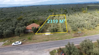 Beka'dan Sölöz Köyünde Asfalt Cepheli Göl Manzaralı Köye Yakın 2499 M2 Zeytinlik - 1