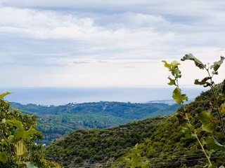 Yola 2. Parsel Full Deniz Manzaralı Masrafsız Kelepir Tarla
