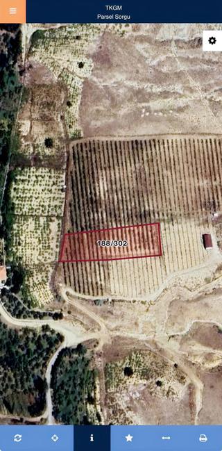 Niğde Değirmenlide 2.426 M² Yatırımlık Elma Bahçesi - 1