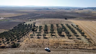 Kumkale'de 14.000 M2 İçinde Zeytin Olan Tarlamız Satılıktır